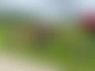 2. Hindernislauf des Turnverein Königshofen am 5. Mai 2024