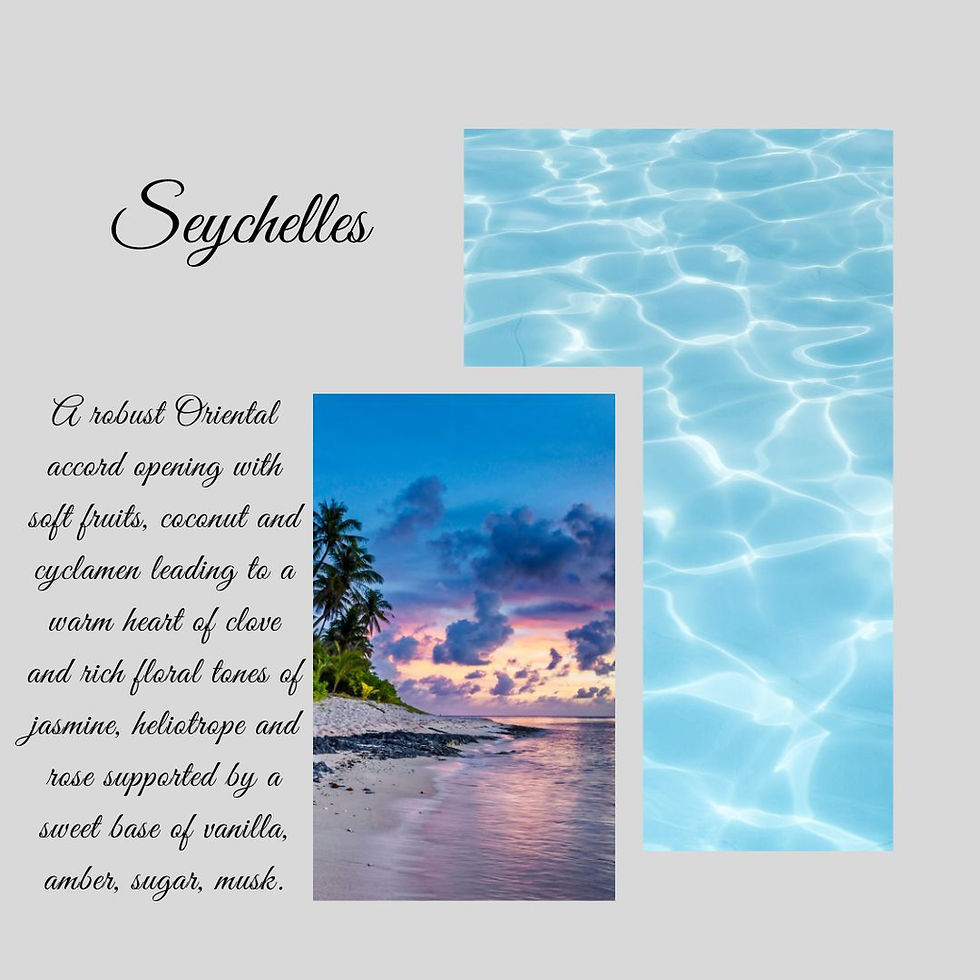 Seychelles - Snap Bar