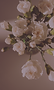 blumenhandwerk_poing17.png