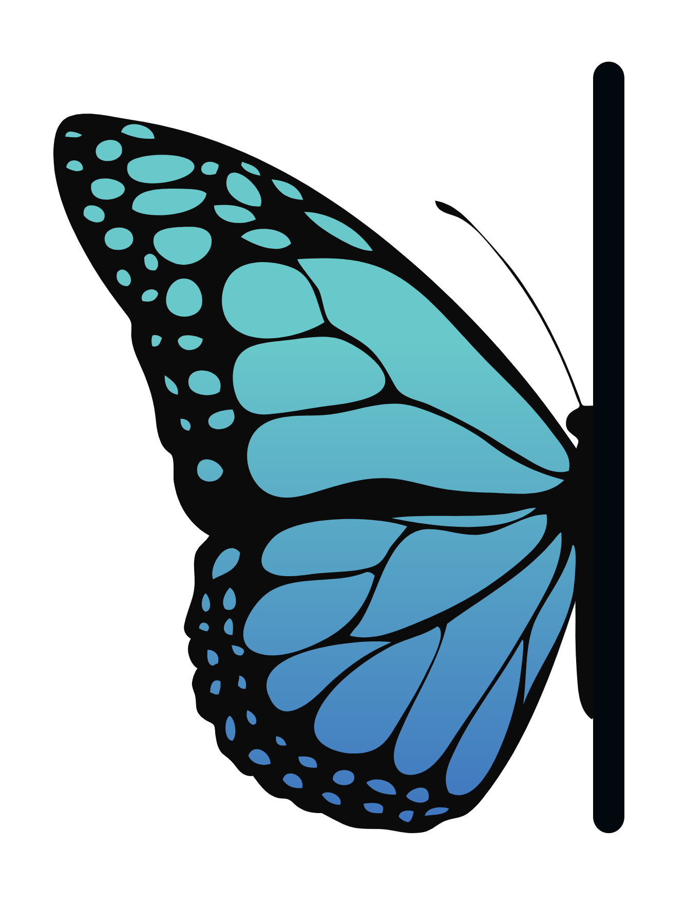 Recovery Council of Southeast Texas business image