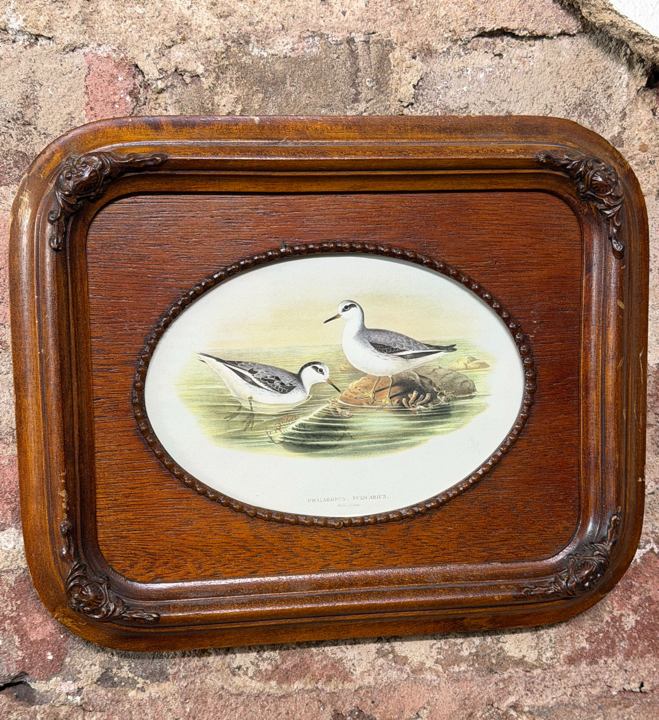 Vintage Ornate Frame with Bird Print