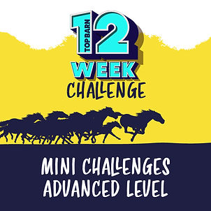 12 week - mini ADVANCED.jpg