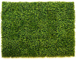 GWD-OD001-English-Pride