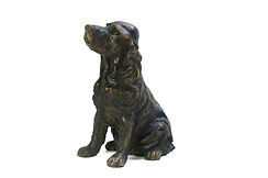 Cocker Spaniel.jpeg