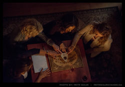 The Cabin