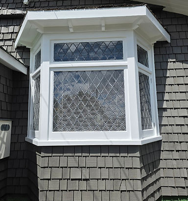 250303_32 fromby Ave, Pt.Chevalier_After (2).jpg