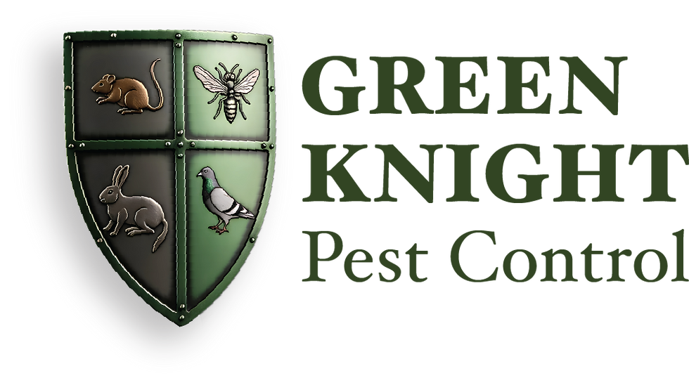 Green Knight logo green text.png
