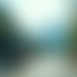 Explore Taiwan with Private Bus Group Tours