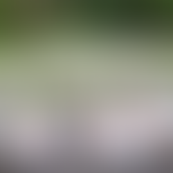 Фестиваль цветов тунг народа хакка — насладитесь весной на Тайване!