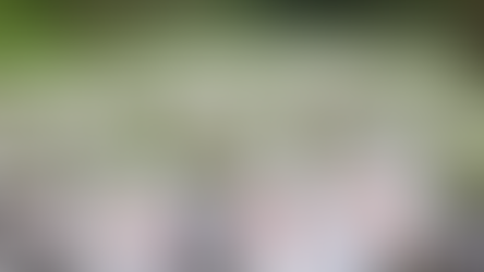 Hakka Tung Blossom Festival — Enjoy Taiwan’s Spring!