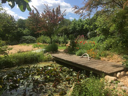 Mare du potager