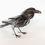 Thumbnail: 'Henry Corvid' Raven Sculpture