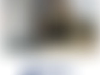 Enereau MBR expansion to double treatment capacity at rural brewery.