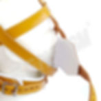 Thumbnail: Medical Slave muzzle with a removable gag
