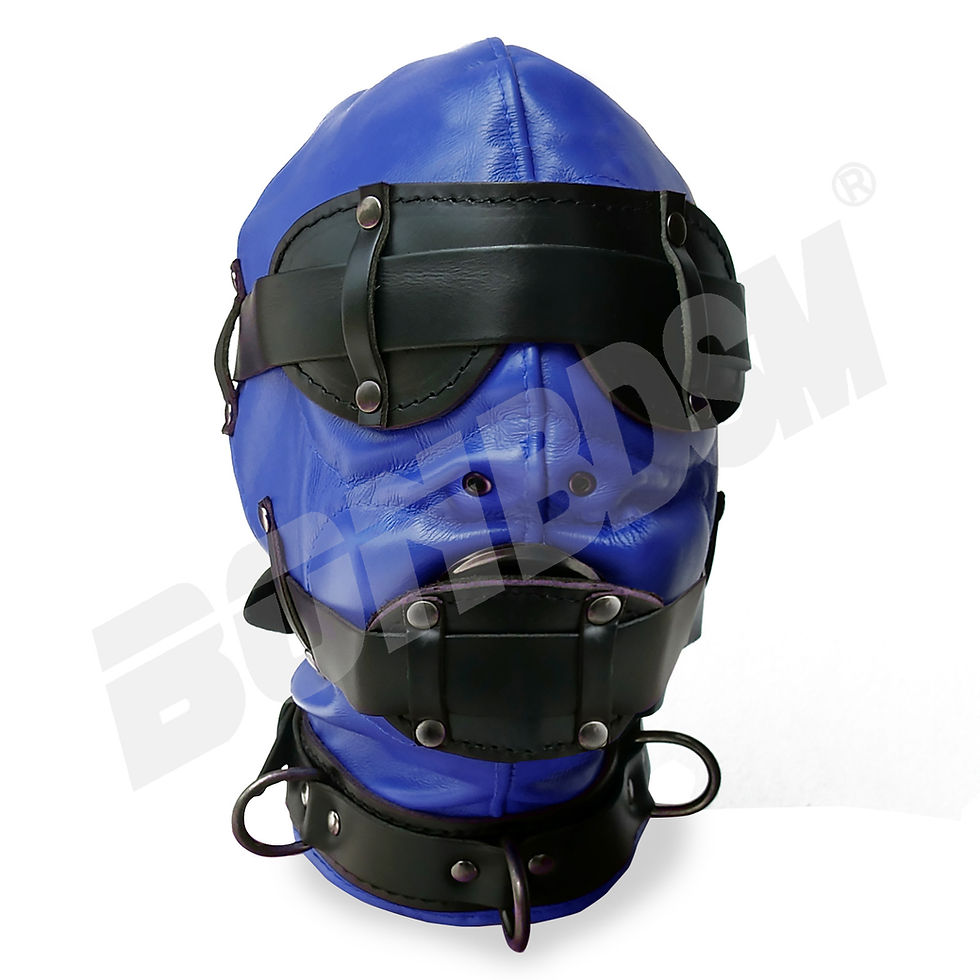 Thumbnail: The Loon BDSM gimp leather mask hood with a silicone gag