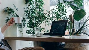 Connectez Shopify avec Pennylane pour faire décoller votre eCommerce