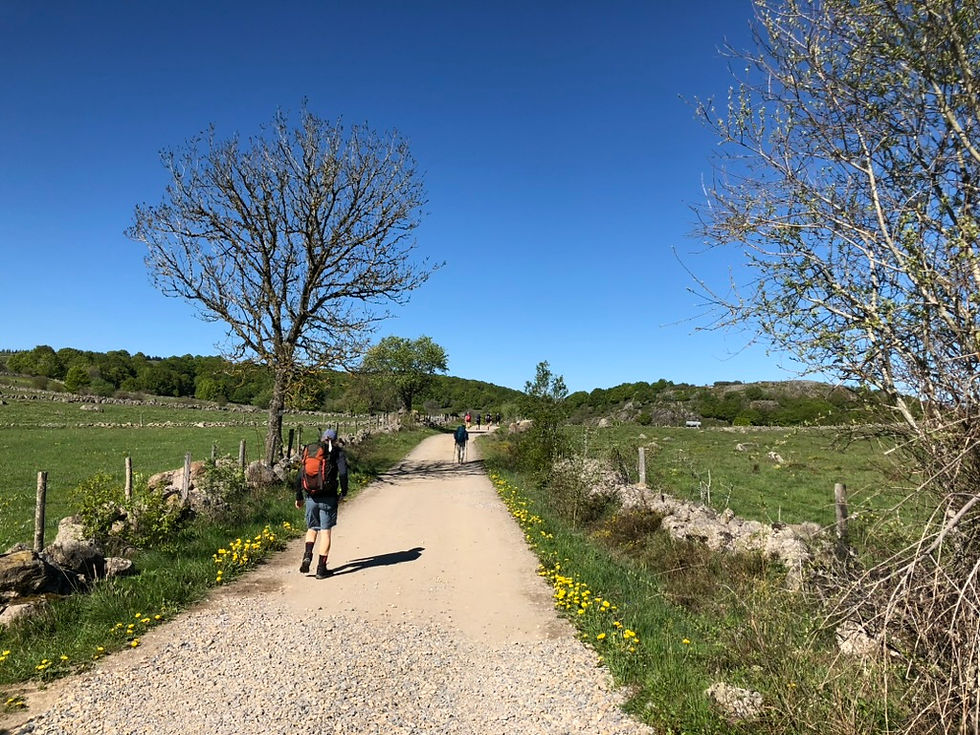Randonneur sur le chemin de Compostelle
