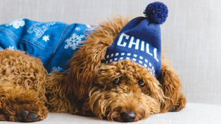 Make Accountants in 2022