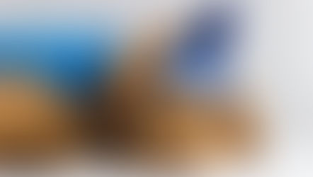 Make Accountants in 2022