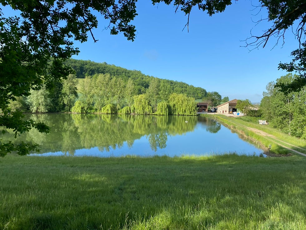 Rando Compostelle Lauzerte-Nogaro  du 18 au 27 septembre 2026 (7 jours de marche)