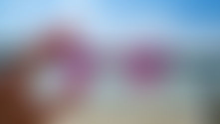 Libeo et Fygr : un duo gagnant pour la gestion de trésorerie et le paiement fournisseurs