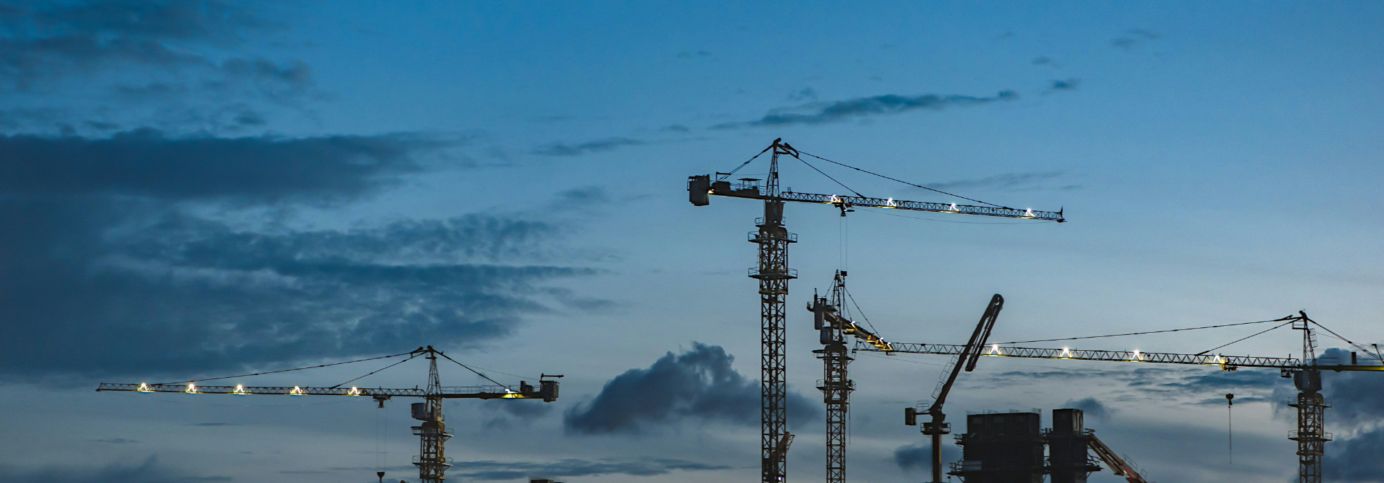 Success stories - Recovery | TOPS Ressources