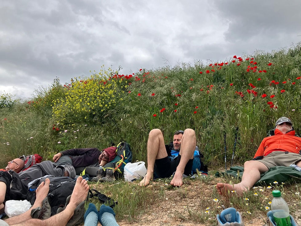 Jacques Pézier et les randonneurs de son stage en pause sur l'herbe