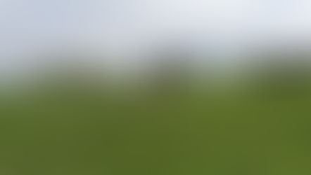 Jacques Pézier dans un champs avec des chevaux