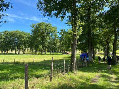 Randonneurs sur le chemin de Compostelle