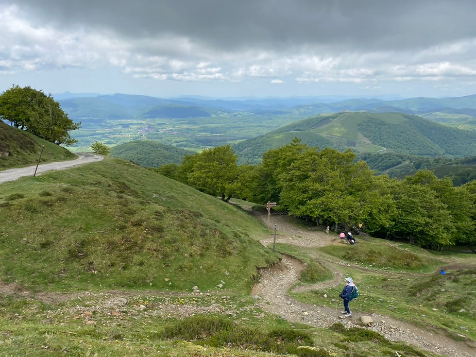 Chemin de Compostelle en France