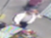 suspect one.jpeg