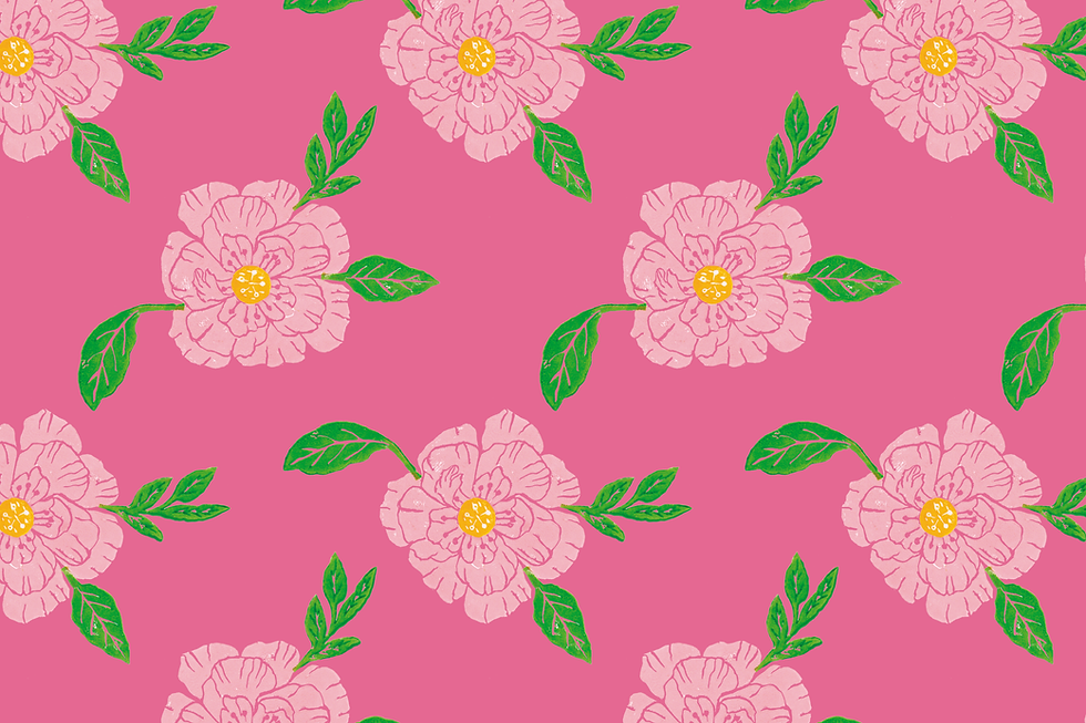 fundo loja wix.png