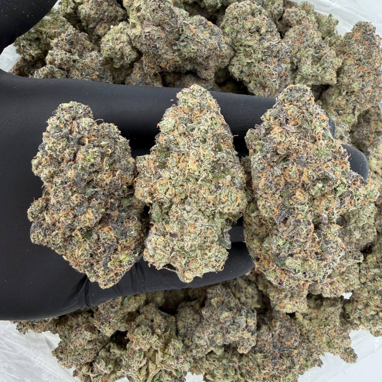 Gorilla Mints