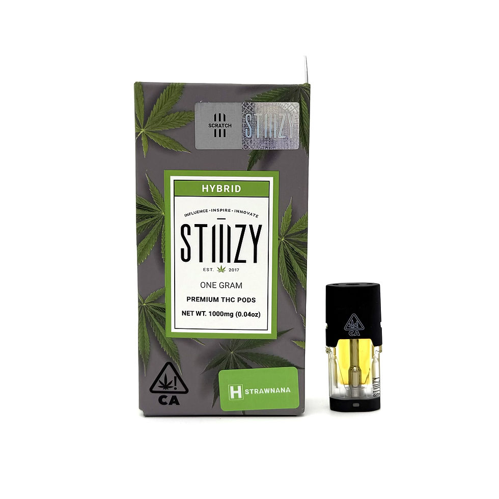 Stiiizy 1G Pod