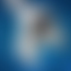 What Is An Intermediate Shaft?