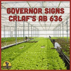 Governor signs CRLAF’s AB 636, Requiring Mandatory Disclosure of California Labor Rights Information