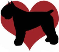 The Check-Up Checklist