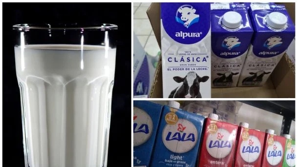 LALA VS ALPURA: ¿QUÉ LECHE ES MEJOR?https://static.wixstatic.com/media