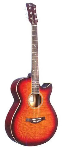 acoustic folk guitar C-351.jpg