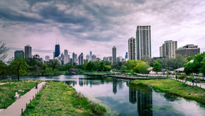 Arborização Urbana - A Receita do Sucesso