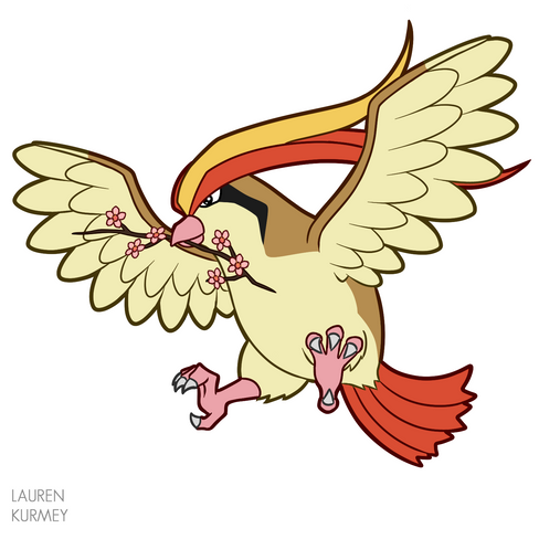 Pidgeot