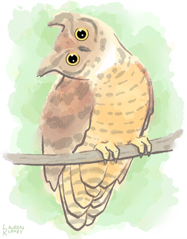 395 Owl WC sm.png