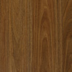 Genero_Deluxe_-_Queensland_Spotted_Gum_swatch_WEB.jpeg