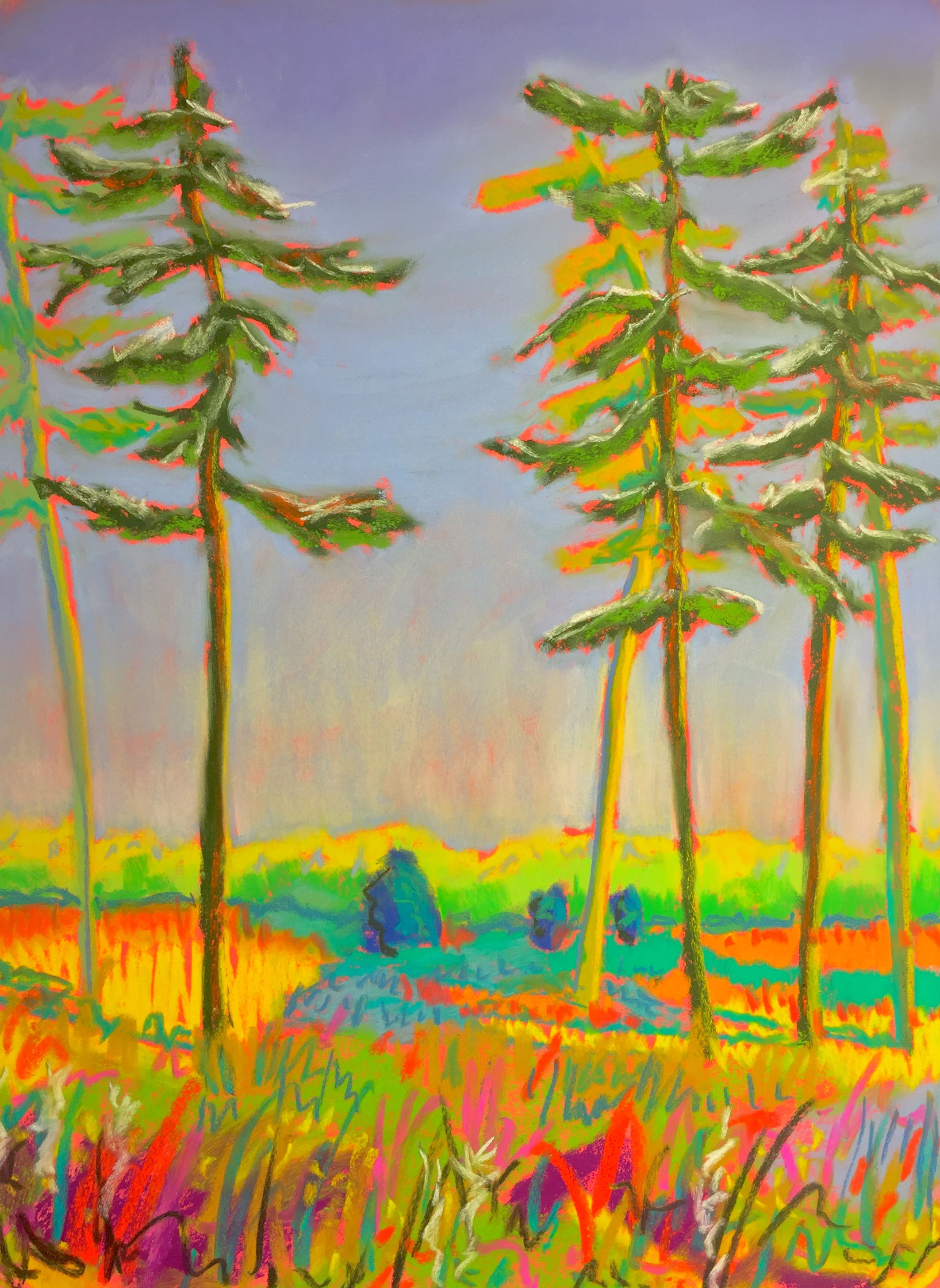 8x10 PRINT "The Pines"