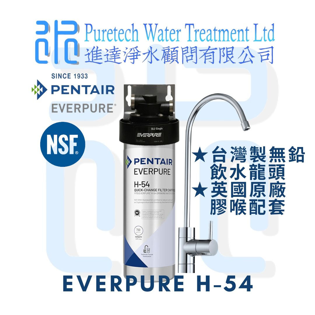 Everpure H-54 water filter, including on-site delivery and installation.