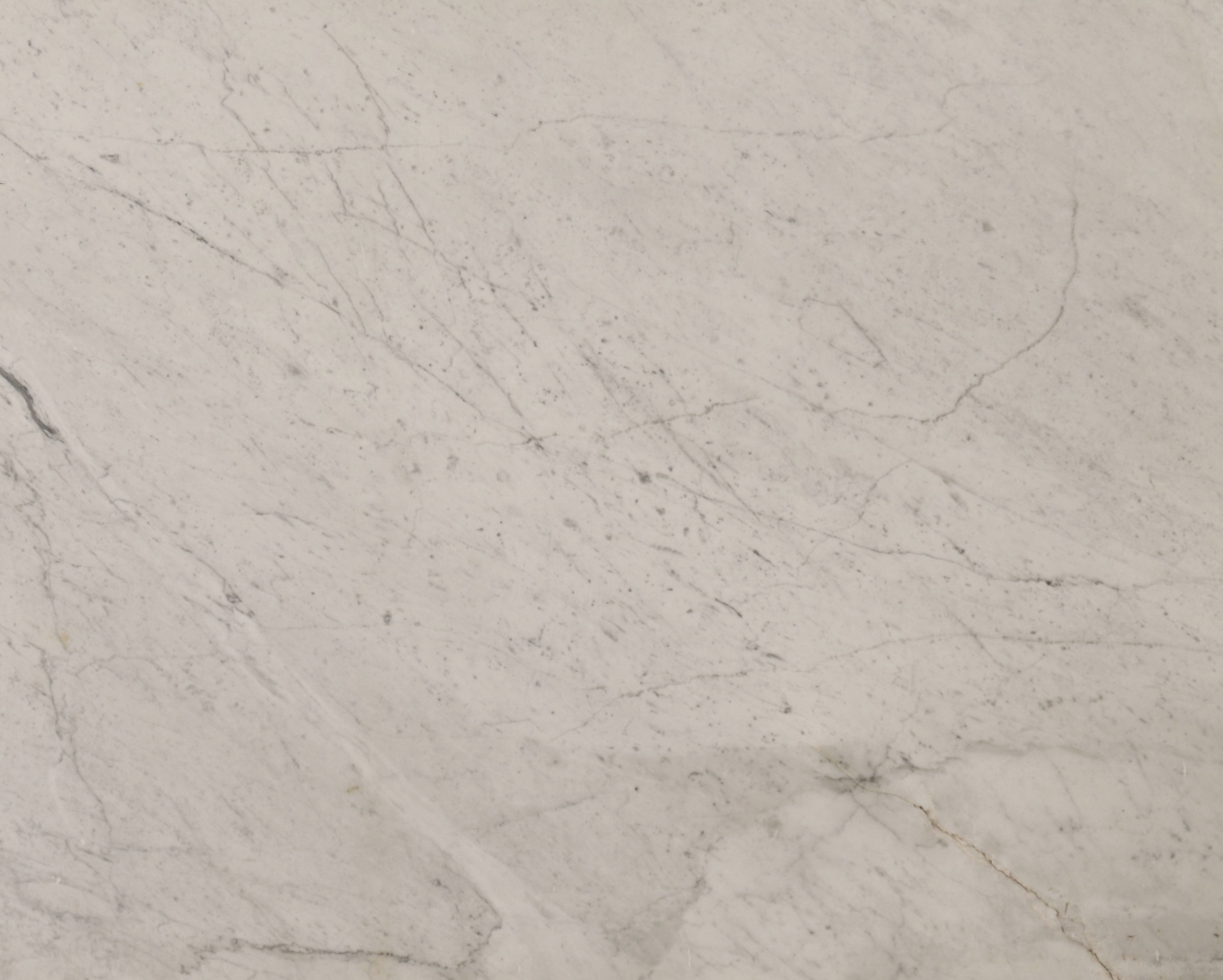 Carrara White