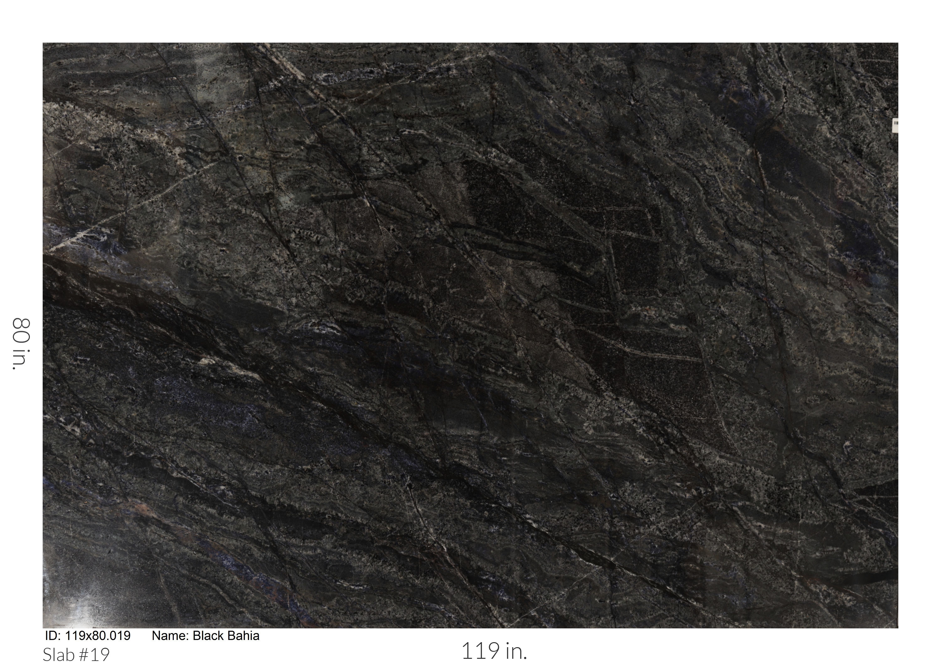 Black Bahia - Bundle C