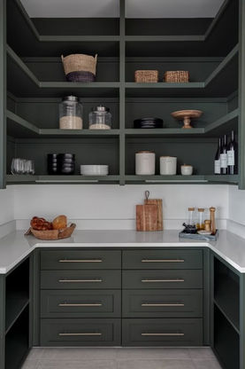 Green kitchen pantry with white counters and organized shelves