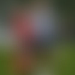 Hepworth Utd 1 - 2 Church Reserves