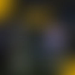 Rossington Main Res 1-0 PCFC Women